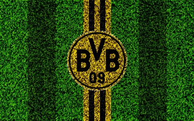 冠军体育独家-于帕梅卡诺国家队首发稳了吗